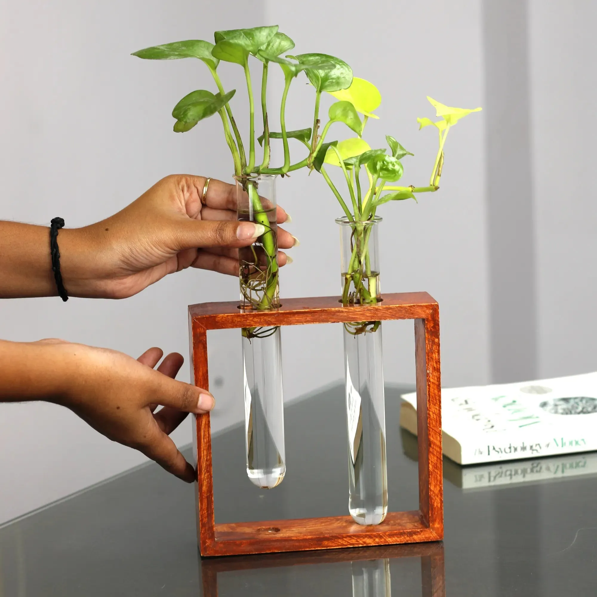 Rustique Test Tube Planter