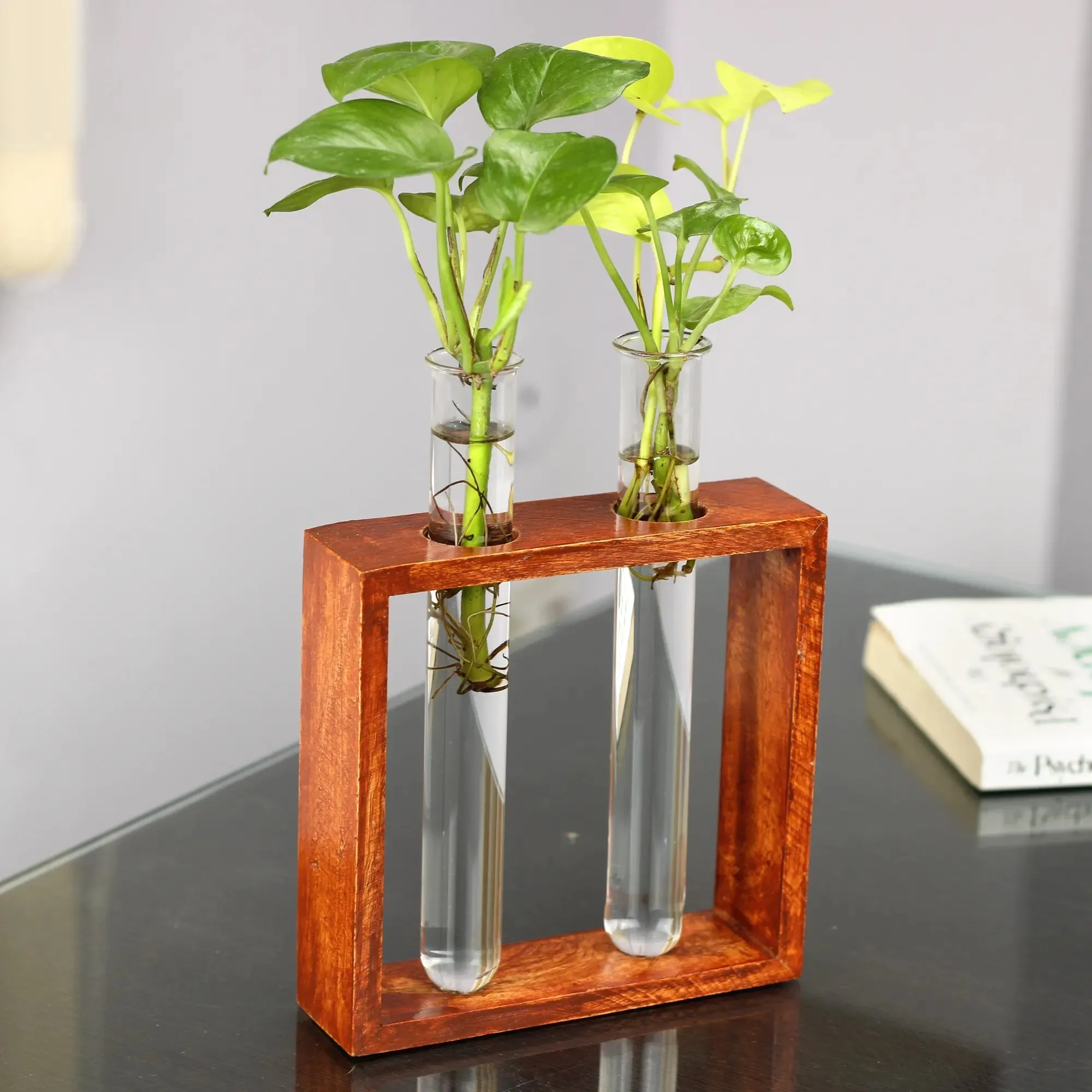 Rustique Test Tube Planter