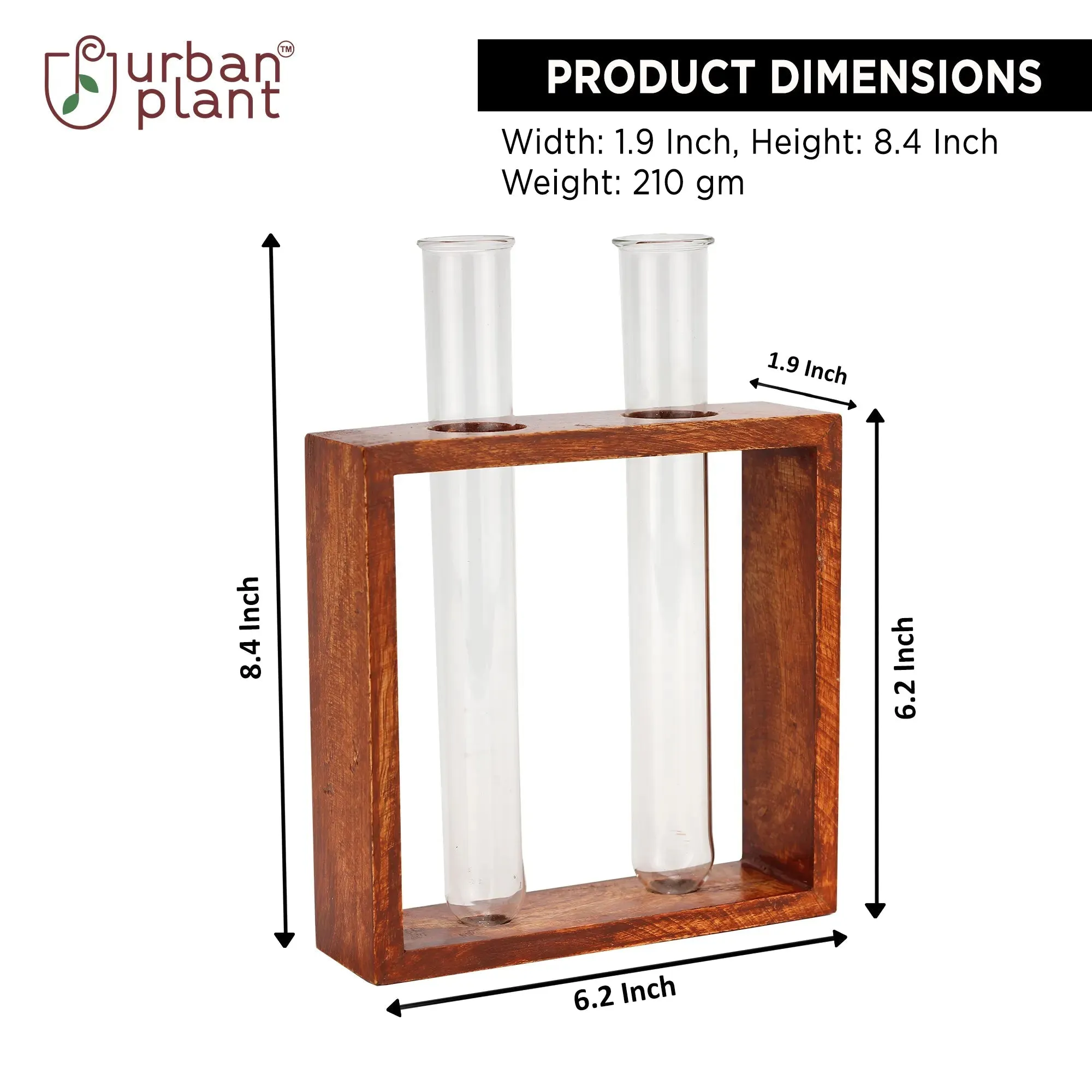 Rustique Test Tube Planter