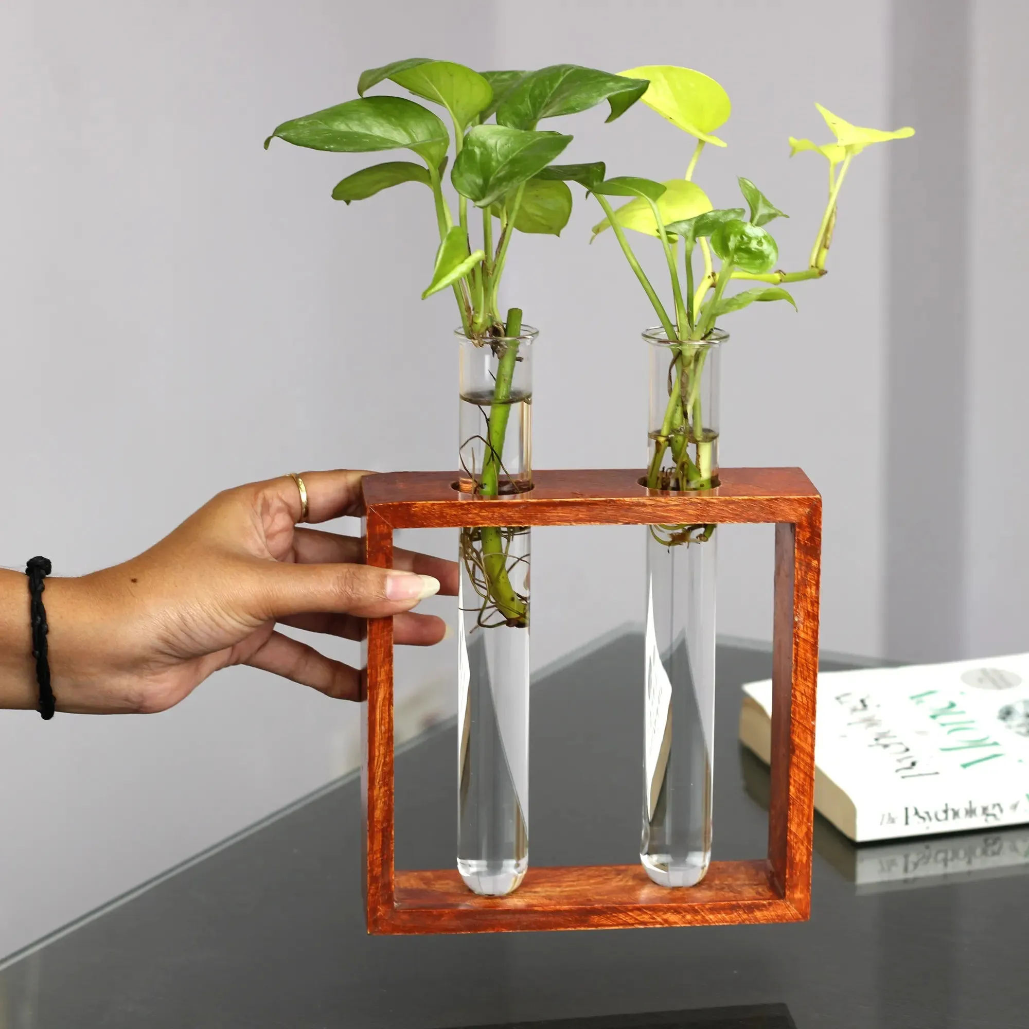 Rustique Test Tube Planter