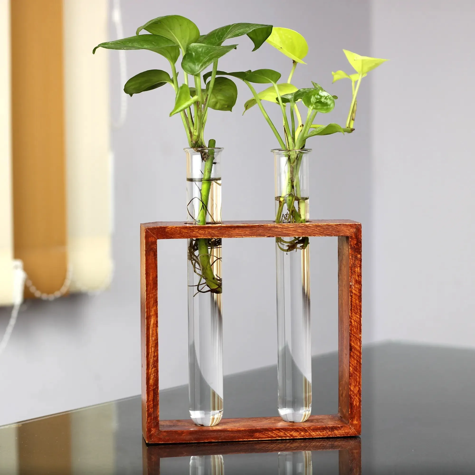 Rustique Test Tube Planter