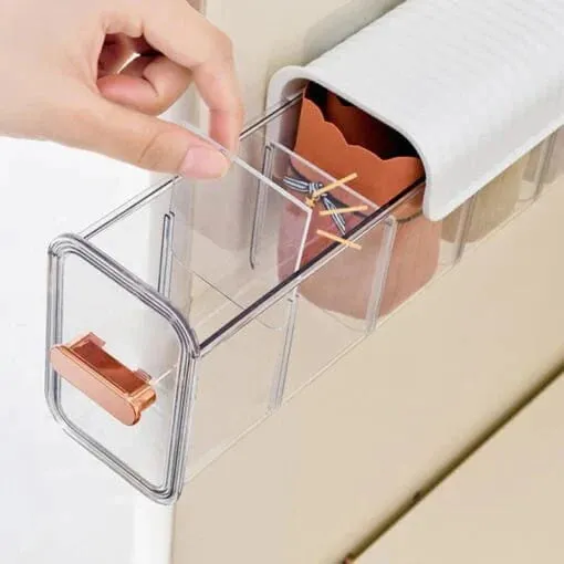 Wall Hanging Transparent Undergarments Storage Organizer